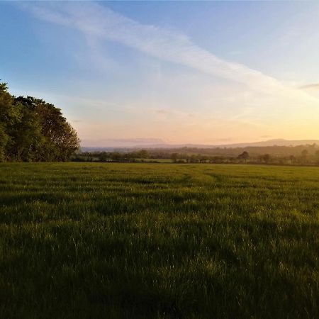 Moneylands Farm B&B Arklow Eksteriør bilde