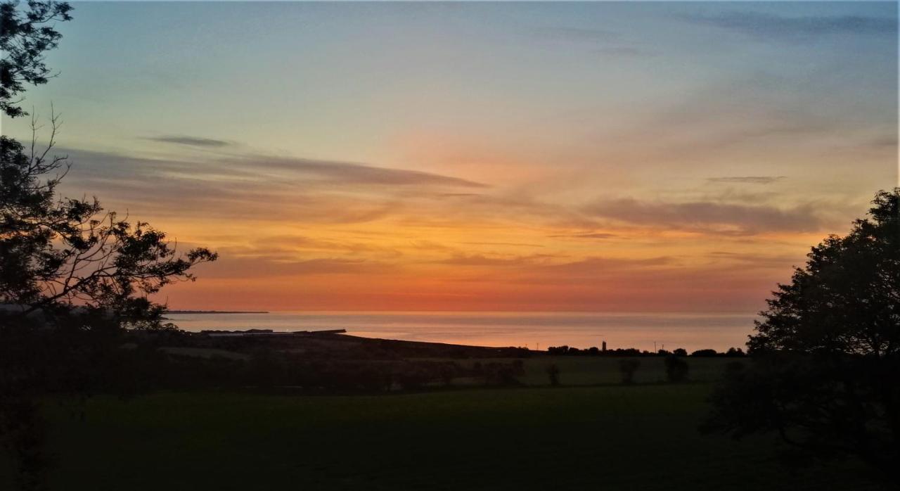 Moneylands Farm B&B Arklow Eksteriør bilde