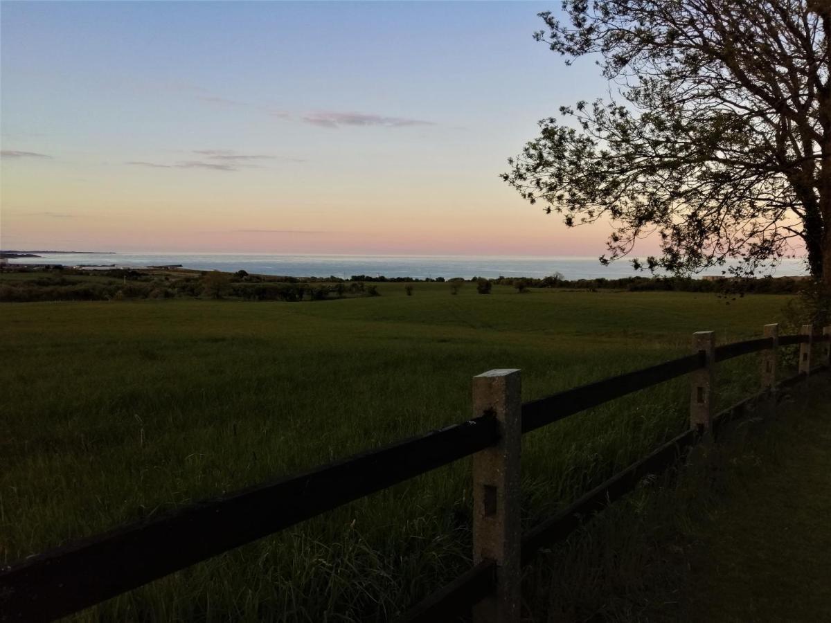 Moneylands Farm B&B Arklow Eksteriør bilde