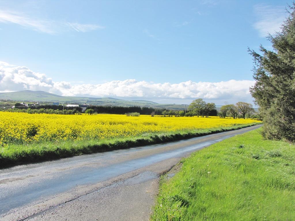 Moneylands Farm B&B Arklow Rom bilde